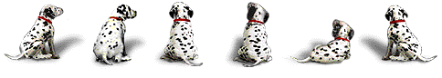 hund2.gif (55 K<img class='smiley' style='width:20px;height:20px;' src='images/smiley/cool.svg' alt='Cool'>