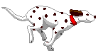 hund3.gif (7 K<img class='smiley' style='width:20px;height:20px;' src='images/smiley/cool.svg' alt='Cool'>
